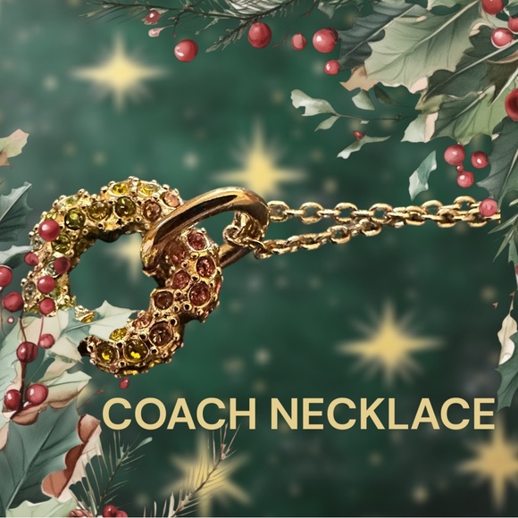 COACH NECKLACE RAINBOW COLORS ON GOLD CHAIN PERFECT GIFT New see earrings too - Picture 3 of 14